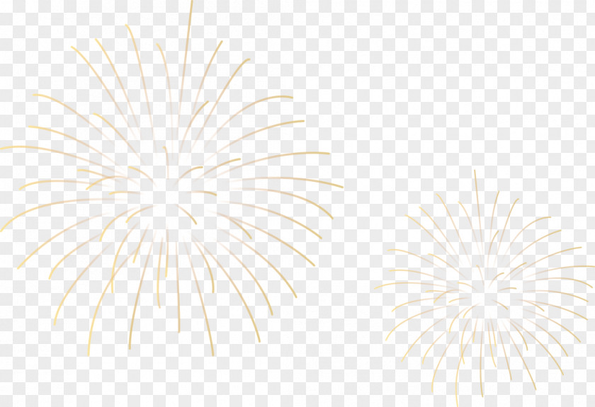 Fireworks White Symmetry Tree Circle Pattern PNG