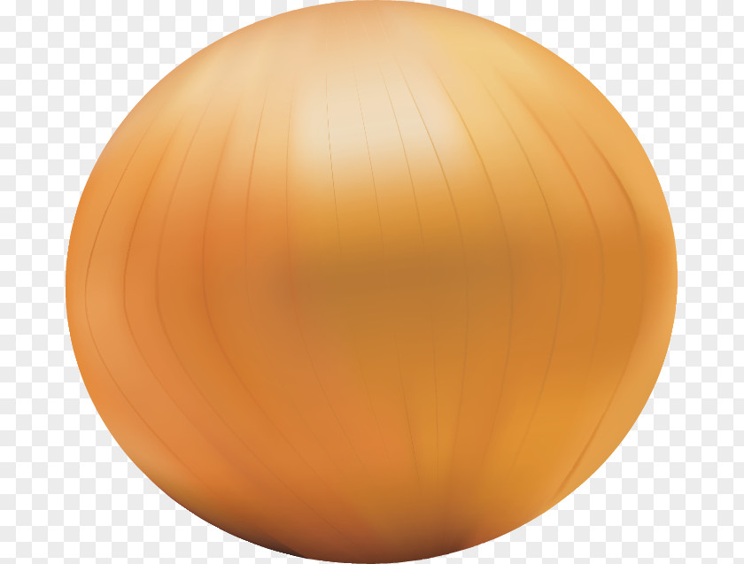 Hand-painted Onion Calabaza Winter Squash Sphere Ball PNG