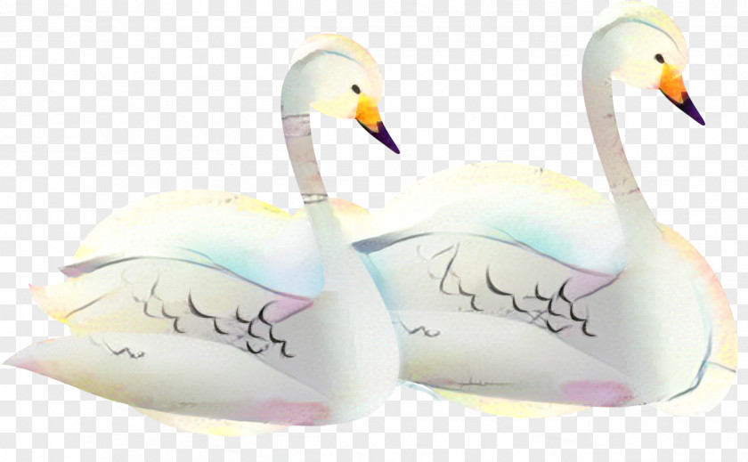 Tundra Swan Goose Duck Cartoon PNG