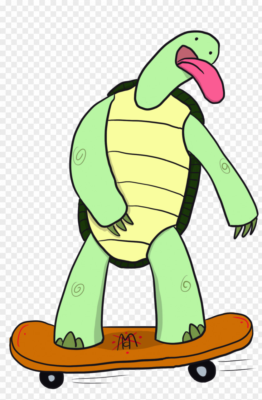 Turtle Cartoon Skateboard Drawing Clip Art PNG