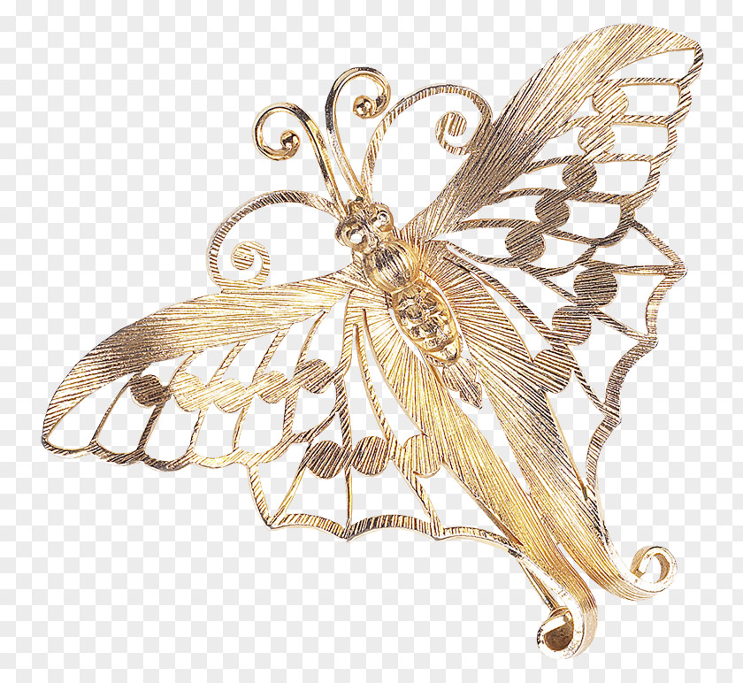 Wing Insect Brooch Dragonflies And Damseflies Membrane-winged PNG