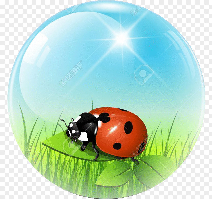 Ball Sphere Clip Art PNG