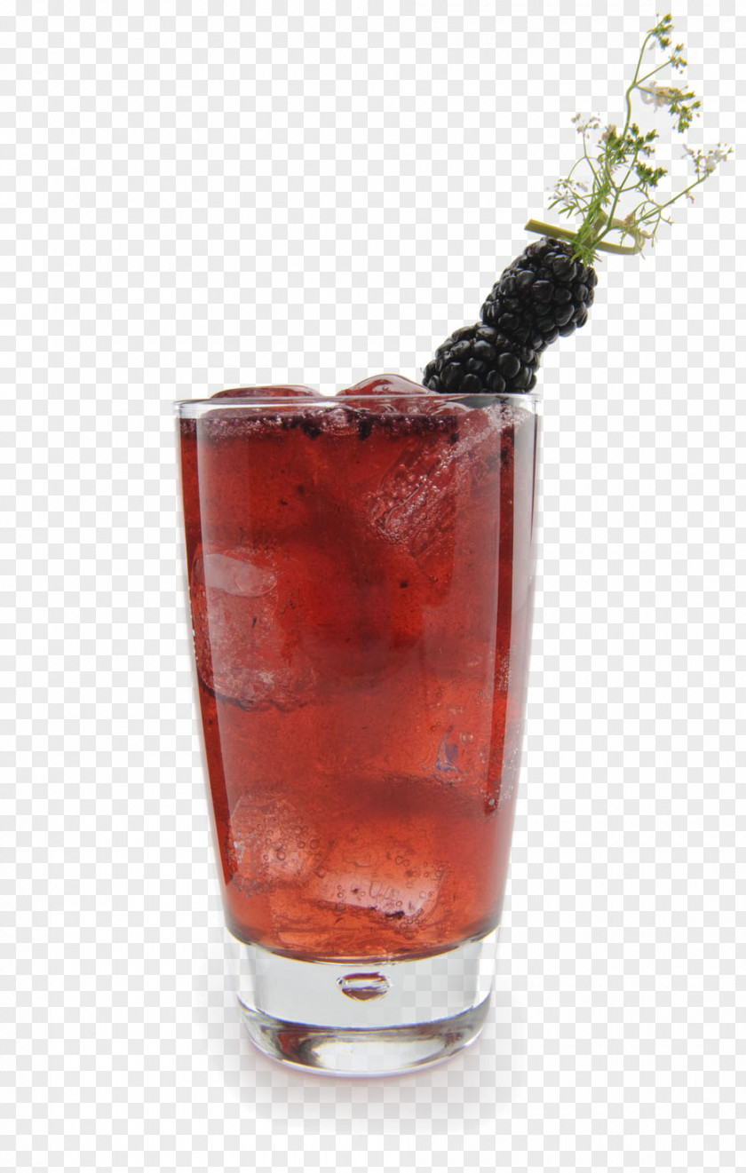 Cocktail Garnish Manhattan Wine Woo PNG