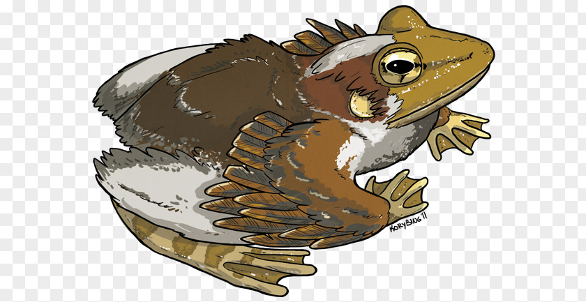 Frog Toad True InCryptid Series Bird PNG
