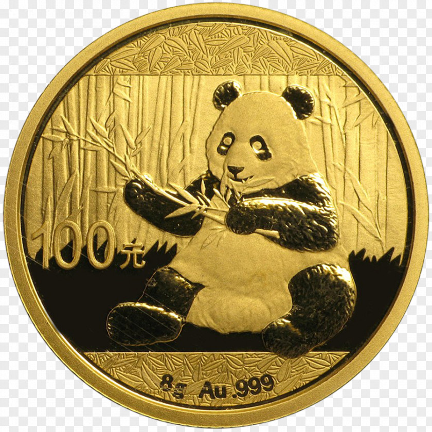 Gold Giant Panda Chinese Bullion Coin PNG