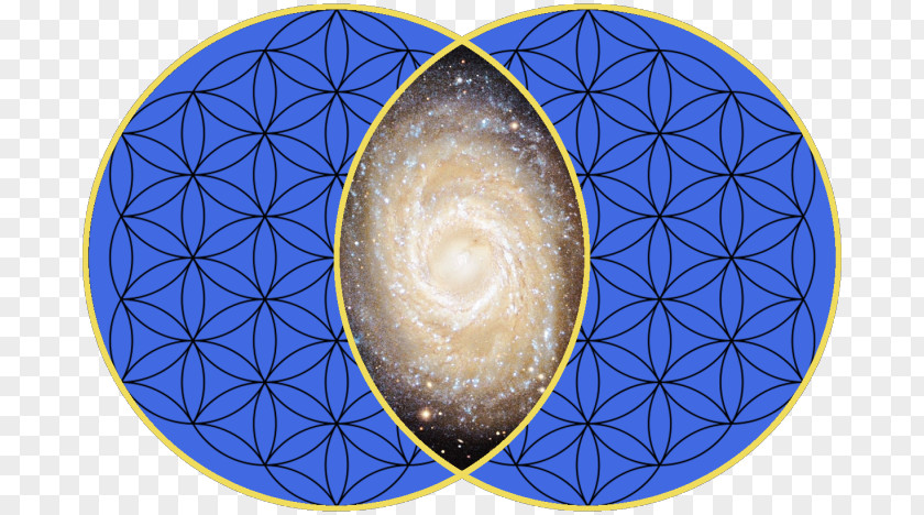 Made For Each Other Vesica Piscis Sacred Geometry Symmetry Urinary Bladder PNG