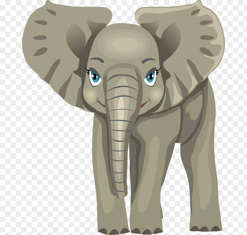 Cartoon Baby Elephant Child Letter Learning Alphabet PNG