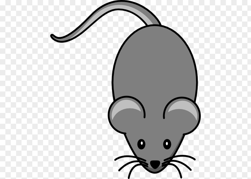 Computer Mouse Laboratory Rat House Clip Art PNG