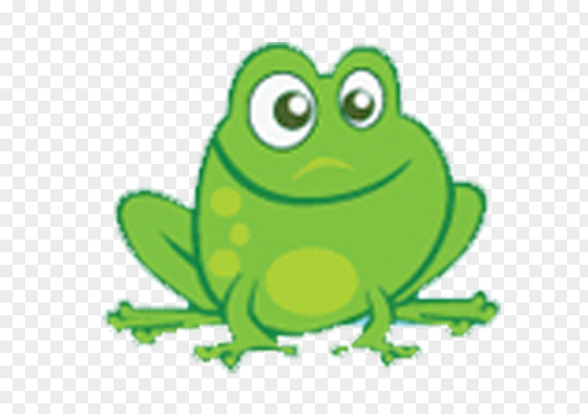 Frog True Tree Toad Clip Art PNG