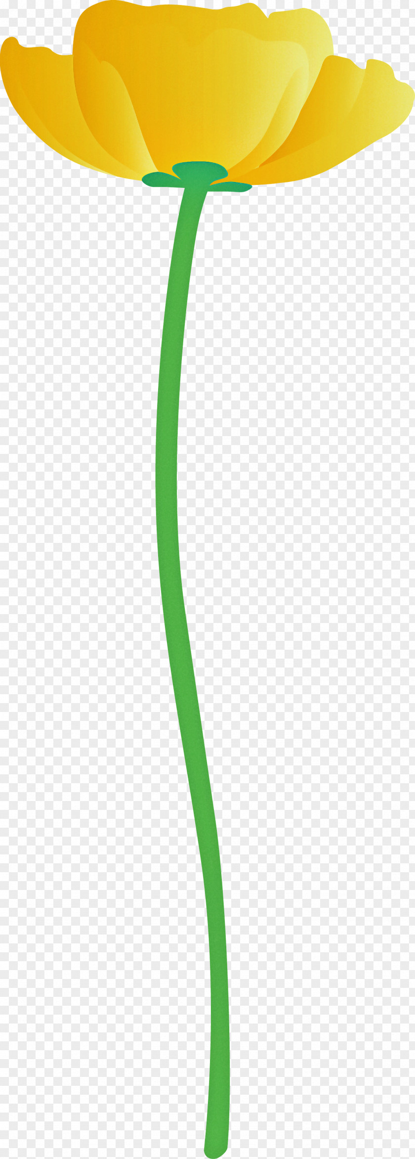Green Leaf Line Plant Stem PNG