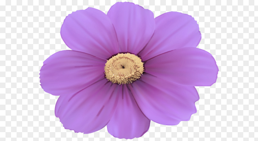Petal Violet Flower Purple Pink PNG