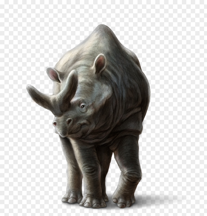 Real Pictures Noah Ark Rhinoceros Megacerops Noah's Animal Elephant PNG