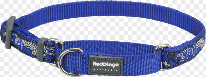 Red Collar Dog Dingo Fence Cat PNG