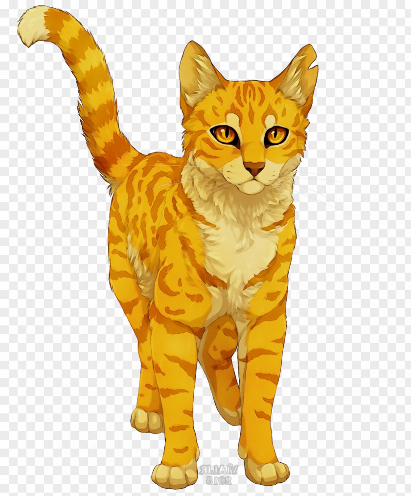 Whiskers Animal Figure Cat Small To Medium-sized Cats Yellow PNG