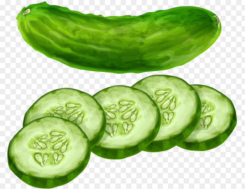 Green Cucumber Vegetable Clip Art PNG