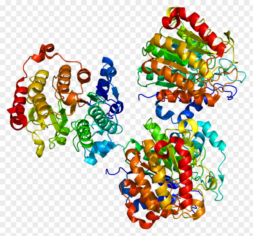 Histone Deacetylase Inhibitor HDAC7 Acetylation And Deacetylation PNG
