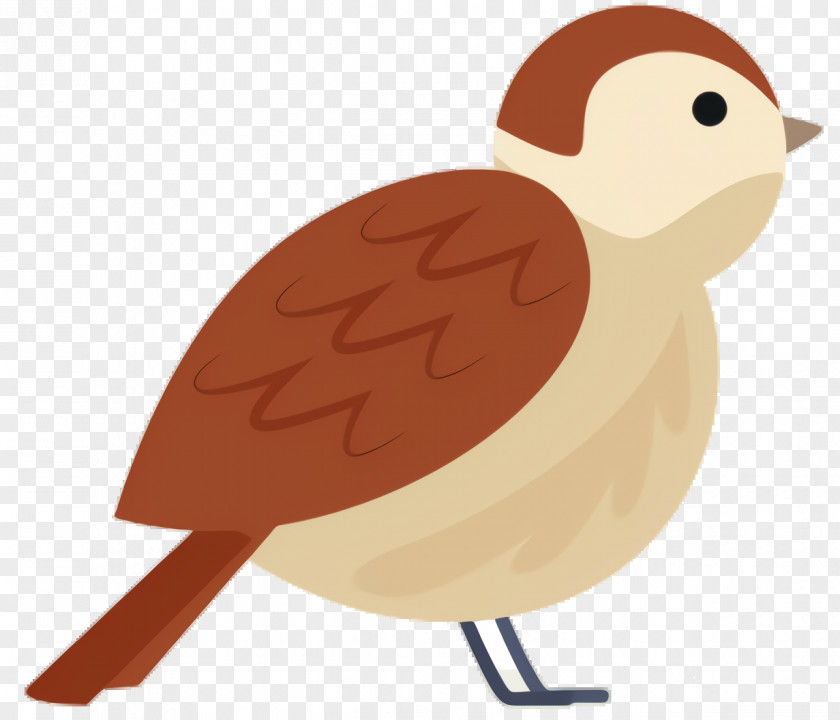 House Sparrow Perching Bird Chicken Cartoon PNG