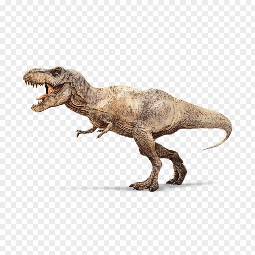 Toy Claw Dinosaur PNG
