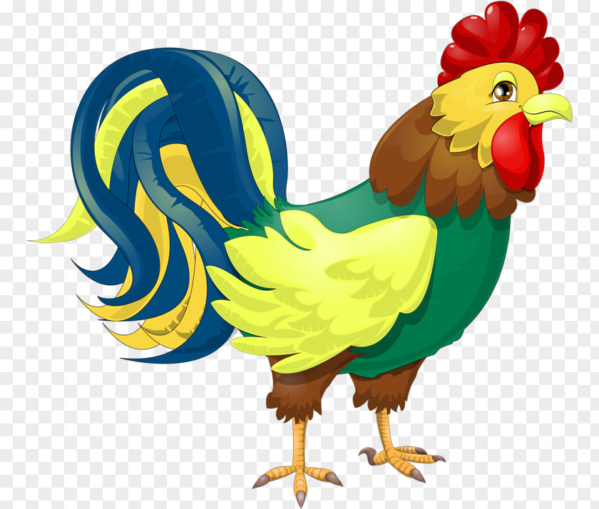 Chicken Rooster Drawing Illustration Vector Graphics PNG