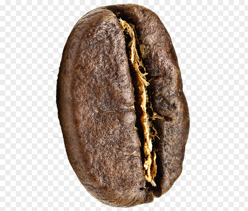 Coffee Beans Commodity Fur PNG