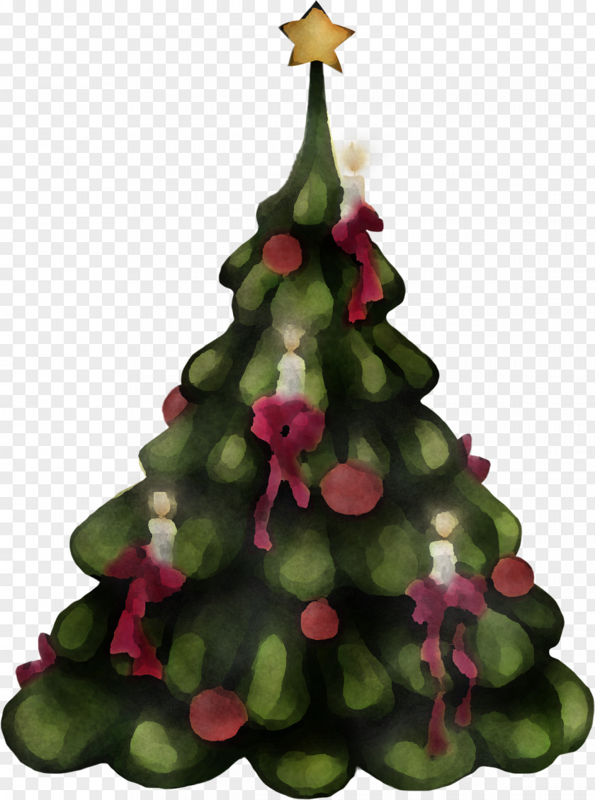 Fir Conifer Christmas Decoration PNG