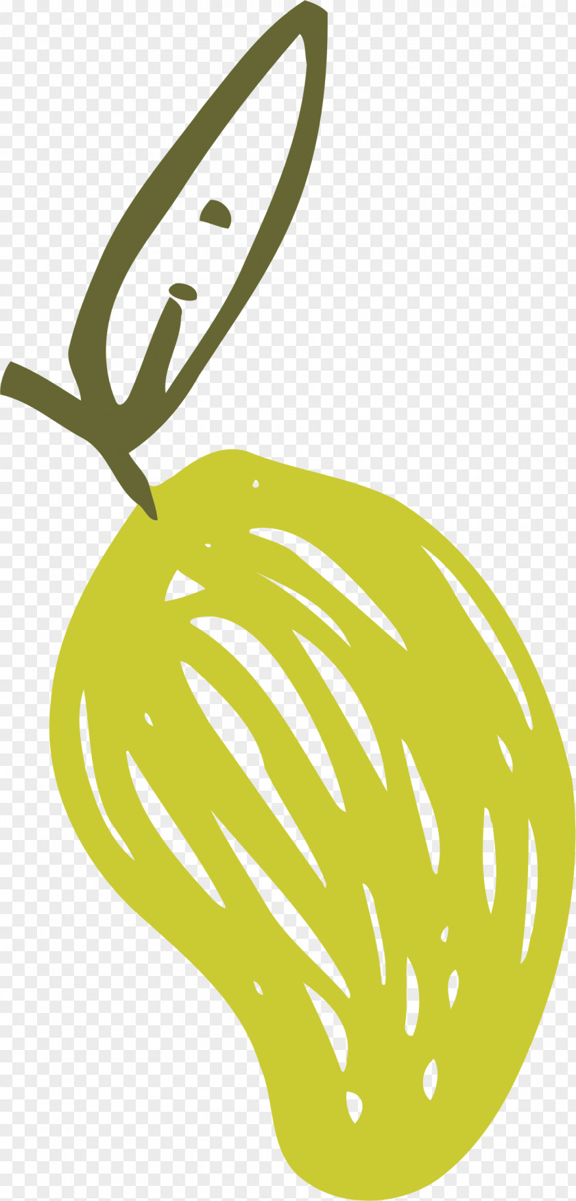 Fruit Clip Art Food Chinese White Pear PNG