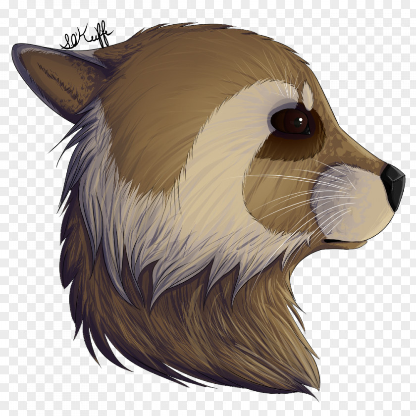 Rocket Raccoon Red Fox Dog Bear Snout Mammal PNG