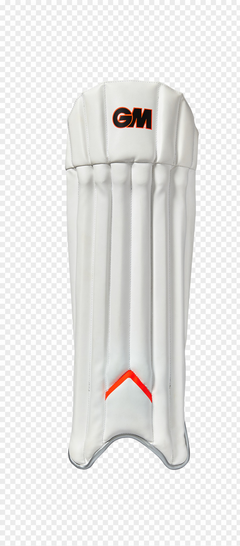 Cricket Wicket-keeper Gunn & Moore Bats Pads PNG