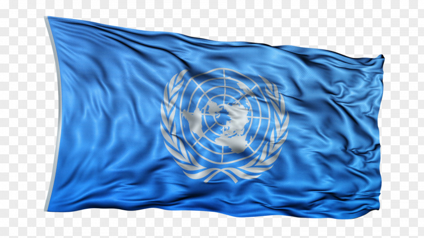 Flag Of The United Nations Throw Pillows QuickTime File Format PNG