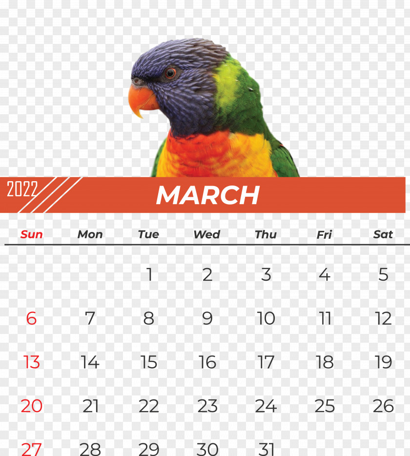 Parrots Beak Calendar Font Meter PNG