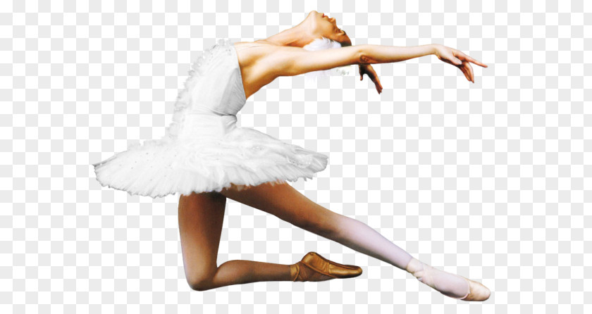 Tap Dance Ballet Dancer PNG