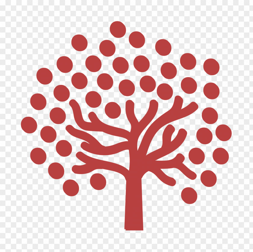 Tree Icons Icon Nature PNG