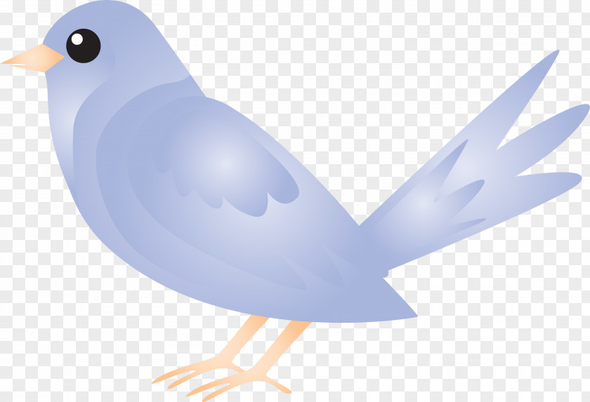 Feather PNG