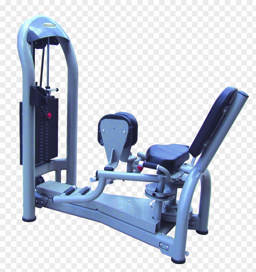 Fitness Equipment Bodybuilding Exercise Physical Centre PNG