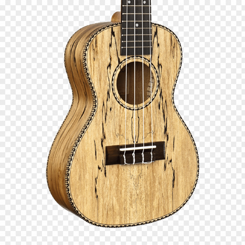 Gig Bag Tiple Ukulele Acoustic Guitar Acoustic-electric Cuatro PNG