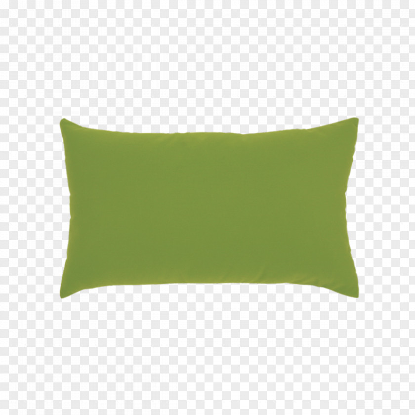 Ginkgo Throw Pillows Cushion Green Rectangle PNG