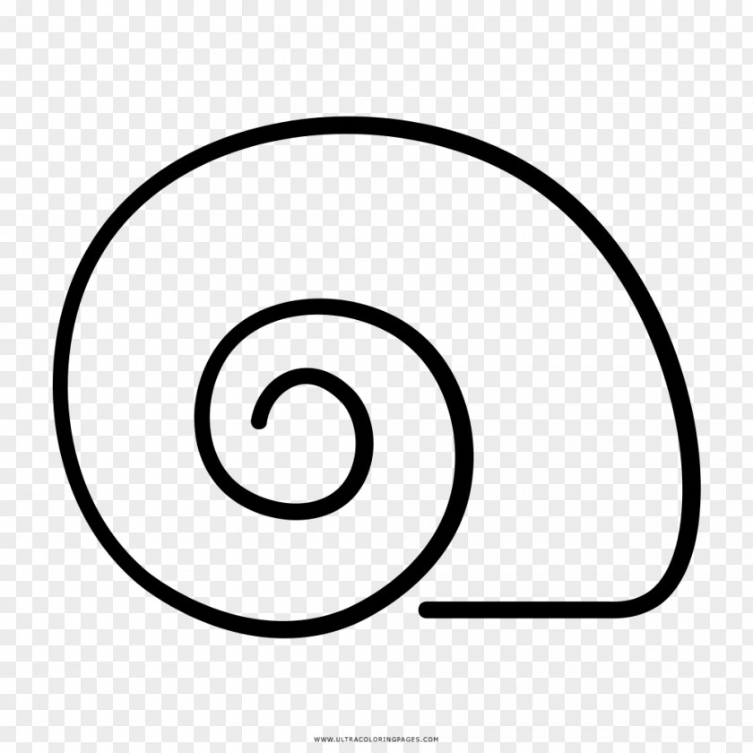 Painting Drawing Black And White Snail PNG