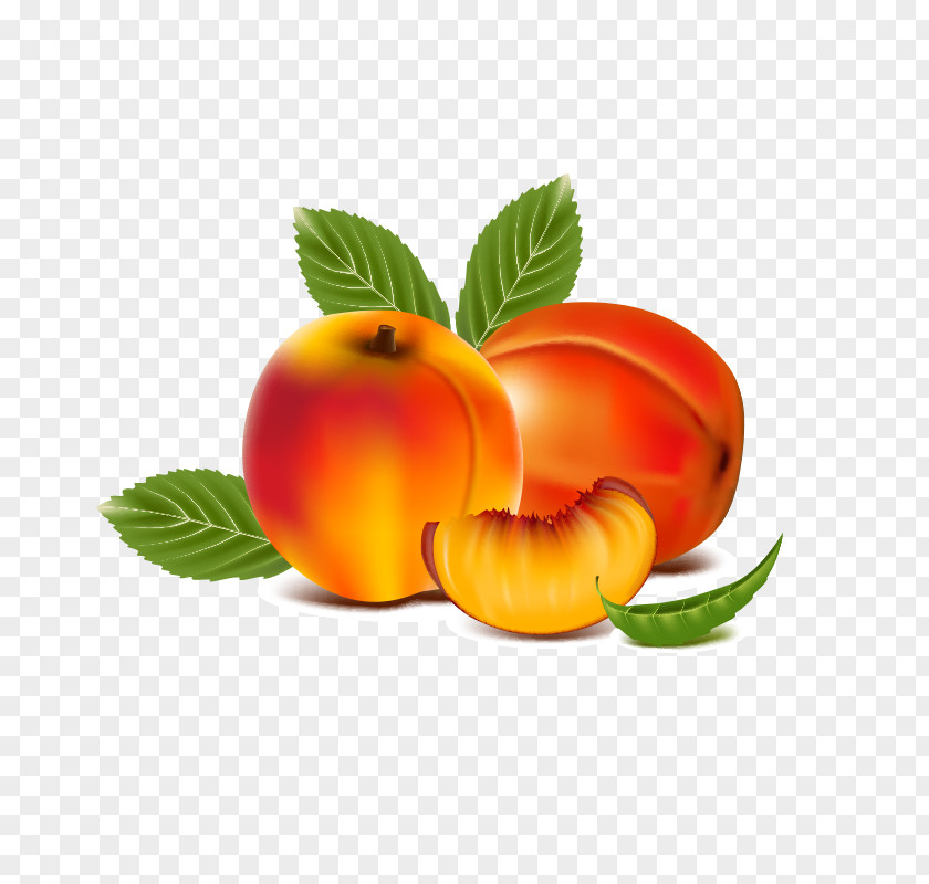 Peaches Juice Peach Drawing PNG