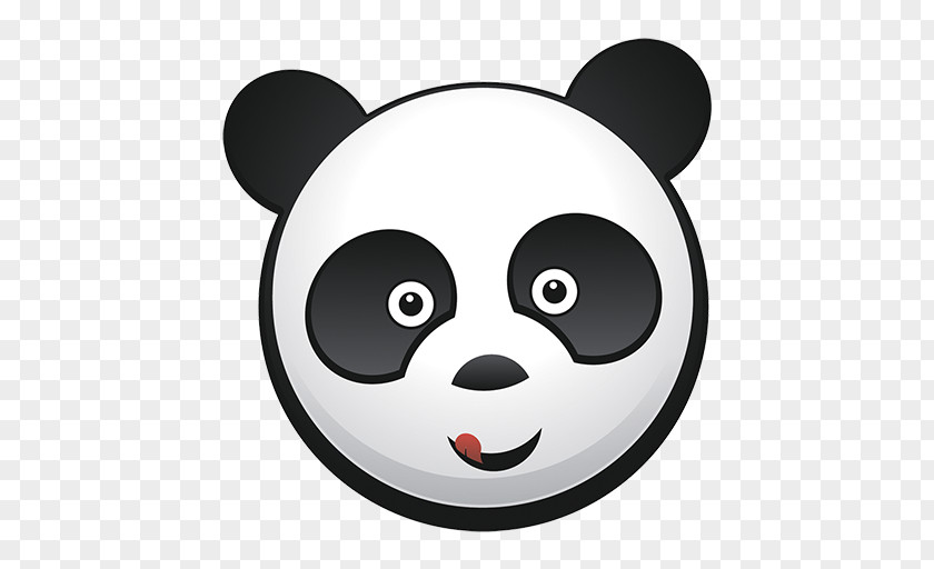 Bear Giant Panda Sticker Tropical Woody Bamboos Illustration PNG