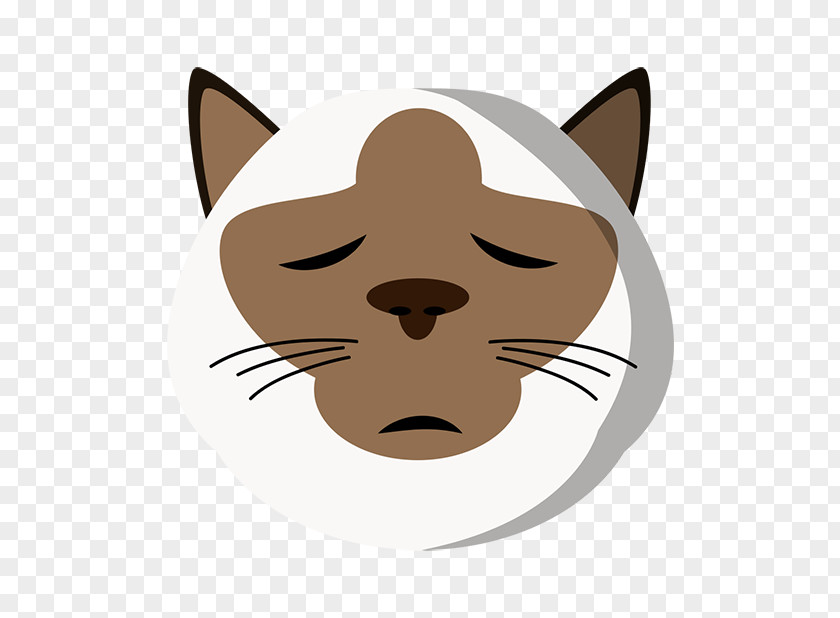 Kitten Whiskers Cat Snout Dog PNG