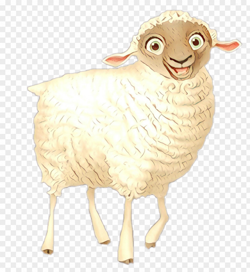 Sheep Goat Cartoon Terrestrial Animal PNG