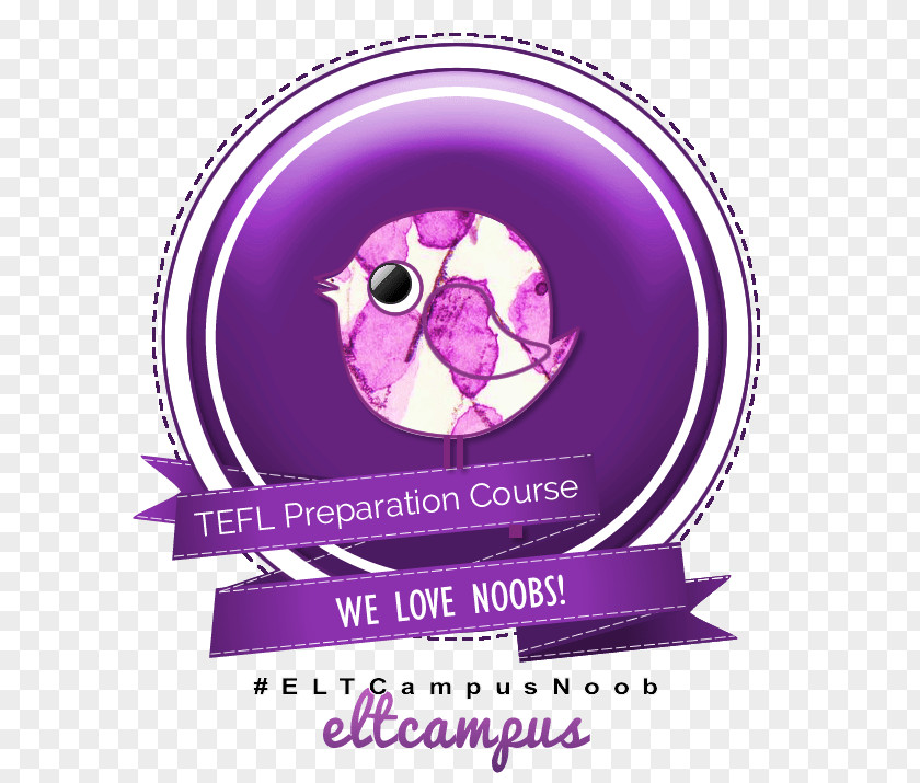 Teacher CELTA Course Tutor English PNG