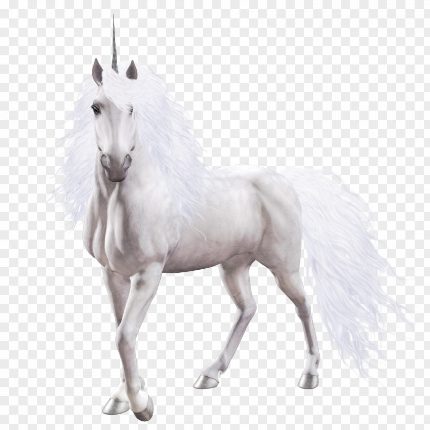 Unicorn Horse Clip Art PNG