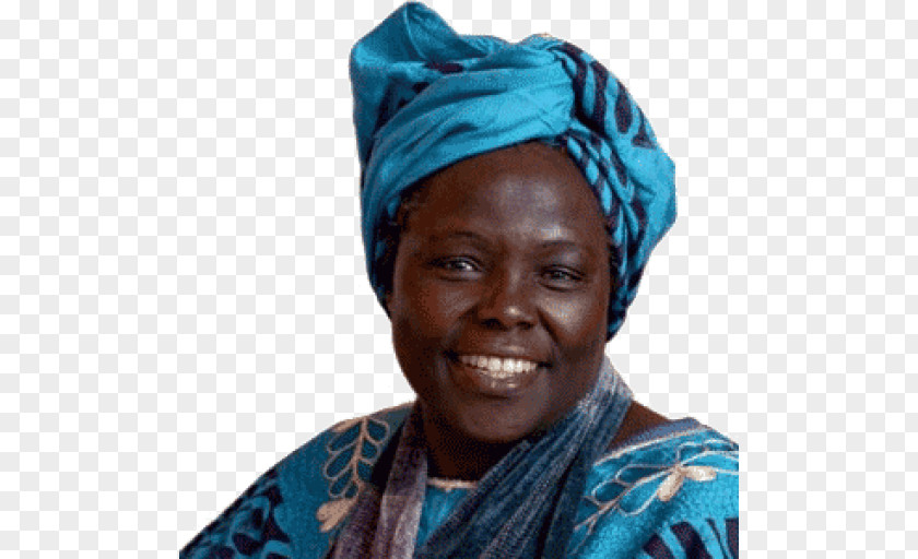 Woman Taking Root: The Vision Of Wangari Maathai Kenya 2004 Nobel Peace Prize Green Belt Movement PNG