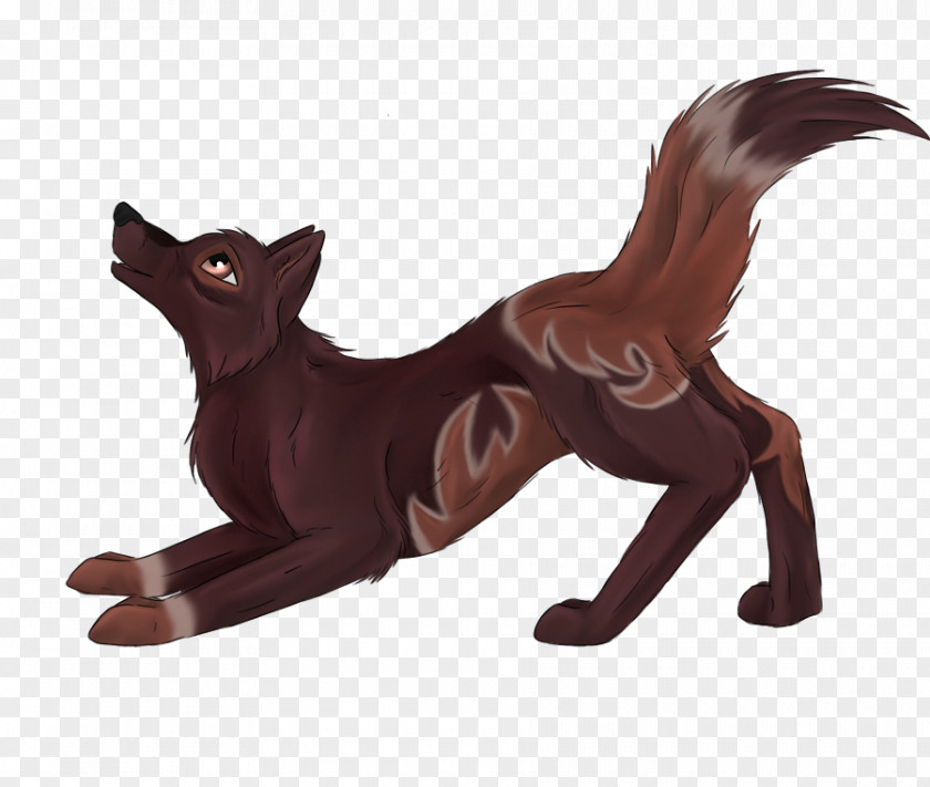 Dog Tail Animal PNG