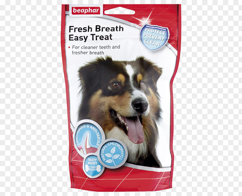 Dog Tooth Bad Breath Breathing Spray PNG