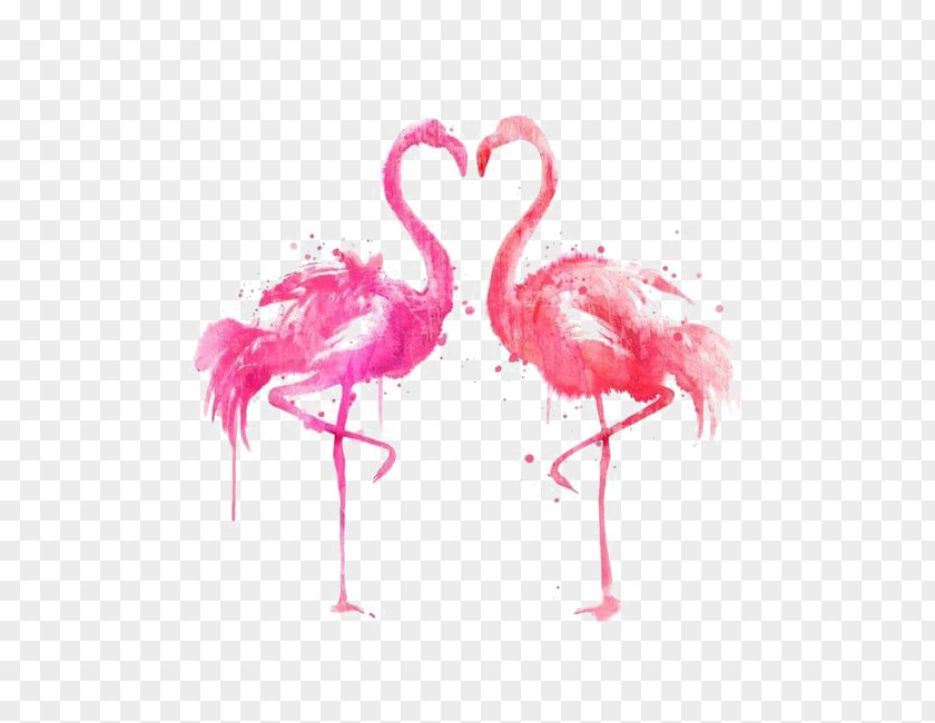 Ink Flamingos Drawing Bird Illustration PNG
