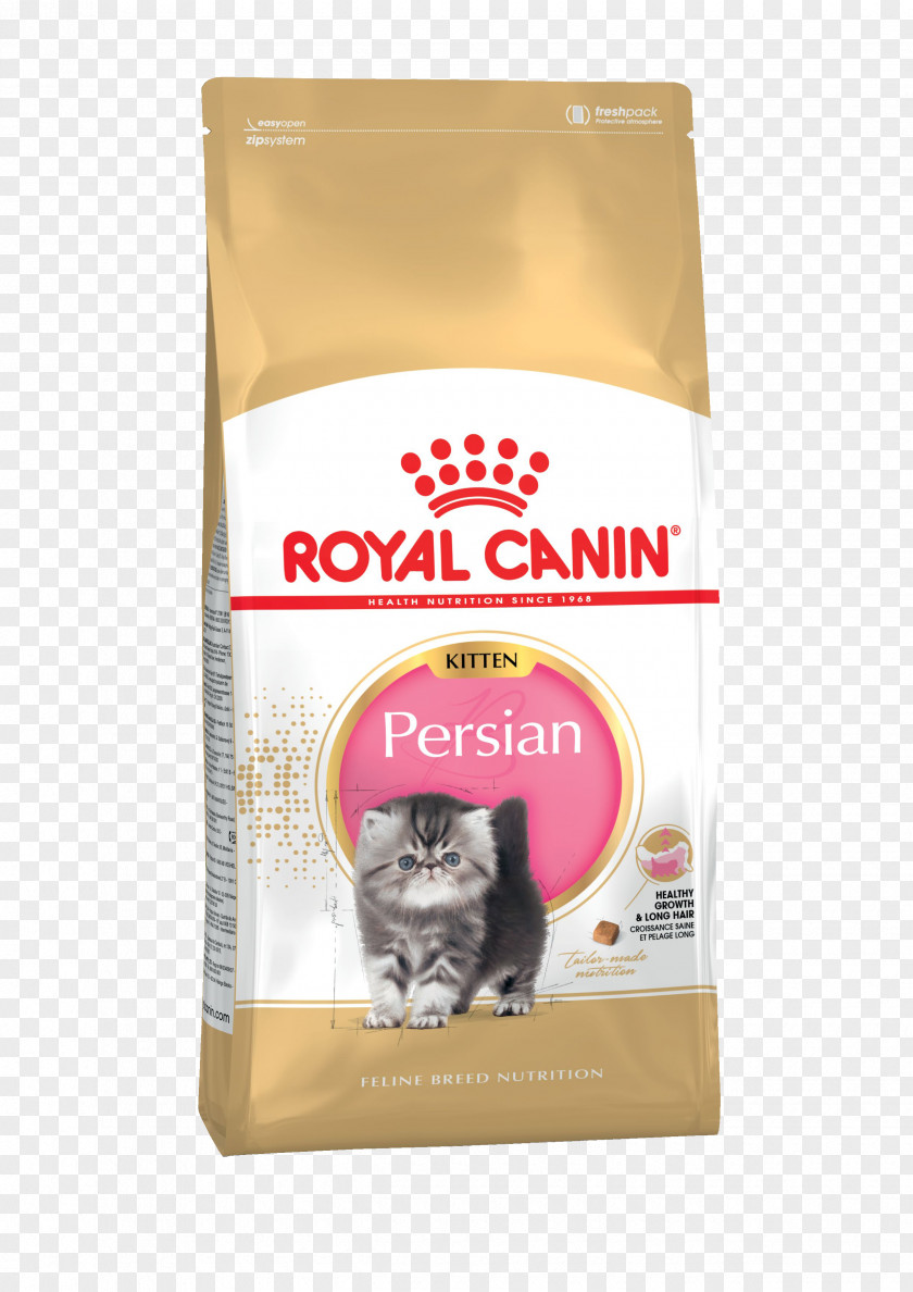 Kitten Persian Cat Food British Shorthair Ragdoll PNG