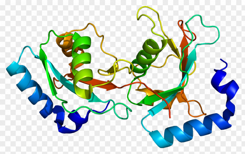 Starvation GABARAPL2 ULK1 Autophagy Gene GABA Receptor PNG