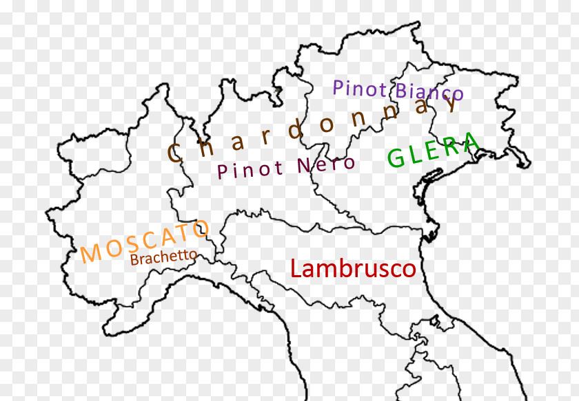 Wine Grape La Spezia Regions Of Italy World Map Udine PNG